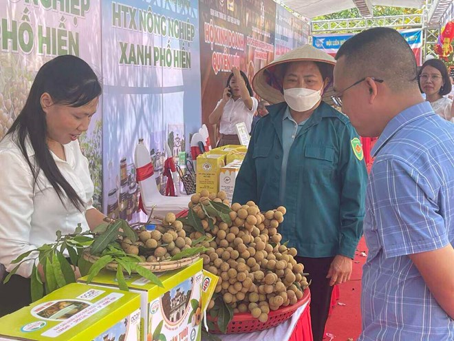 Nhãn lồng Hưng Yên kết nối thị trường, mở rộng tiêu thụ sản phẩm truyền thống Nhãn lồng Hưng Yên kết nối thị trường, mở rộng tiêu thụ sản phẩm truyền thống