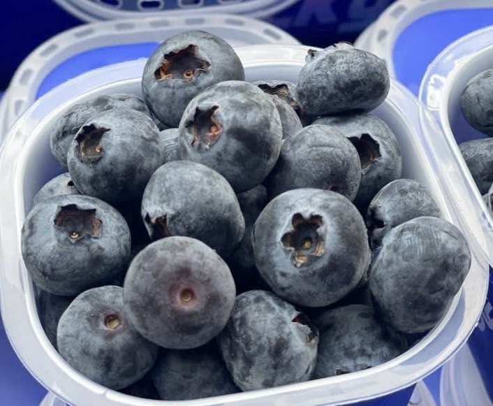 Adding blueberries to your diet is said to be good for your kidneys. Photo: Kieu Vu