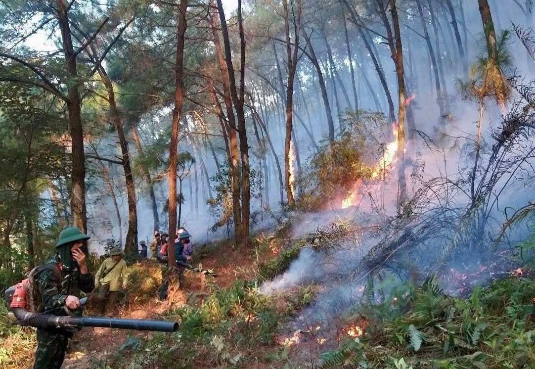 The authorities tried to control the pine forest fire in Thien Nhan commune (Nghe An). Photo: Ngoc Anh
