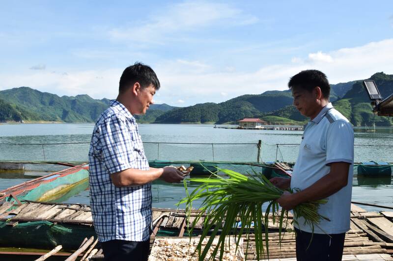 Nguoi dan nuoi ca long be khu vuc ha luu song Da duoc tuyen truyen de khong bi thiet hai khi nuoc song dang cao sau xa lu. Anh: Truong Son
