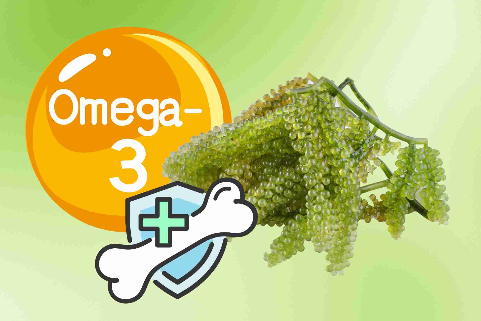 Green seafood rich in Omega-3 is good for the heart, preventing osteoporosis