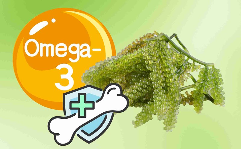 Green seafood rich in Omega-3 is good for the heart, preventing osteoporosis