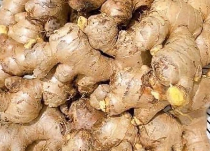 Ginger has the effect of supporting fat burning and weight loss. Photo: Kieu Vu