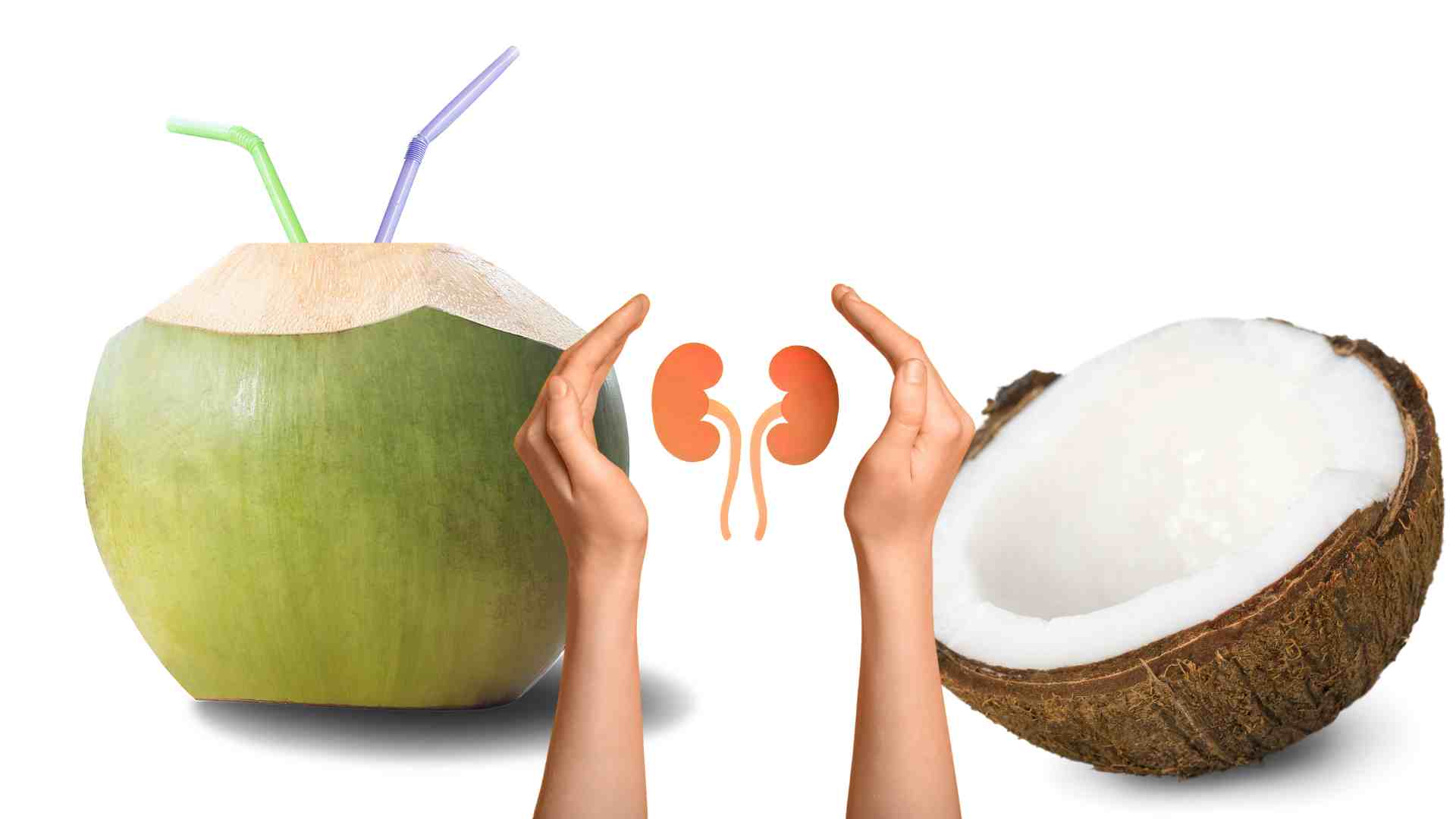 Drinking coconut water properly is good for the kidneys. Graphics: Ha May