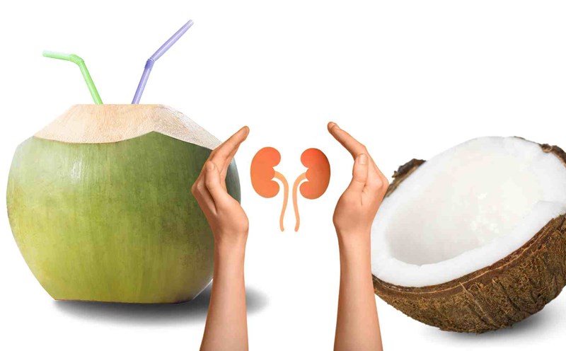 Drinking coconut water properly is good for the kidneys. Graphics: Ha May