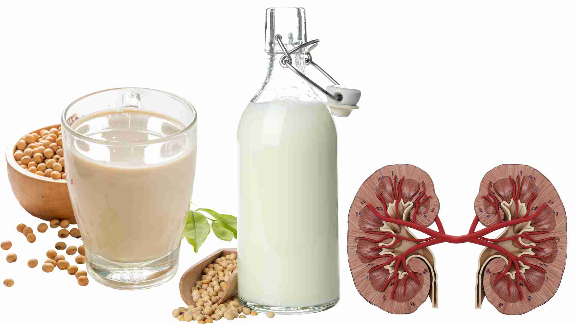Drinking soy milk properly will not harm the kidneys. Graphics: Ha May