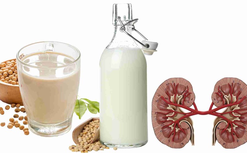 Drinking soy milk properly will not harm the kidneys. Graphics: Ha May