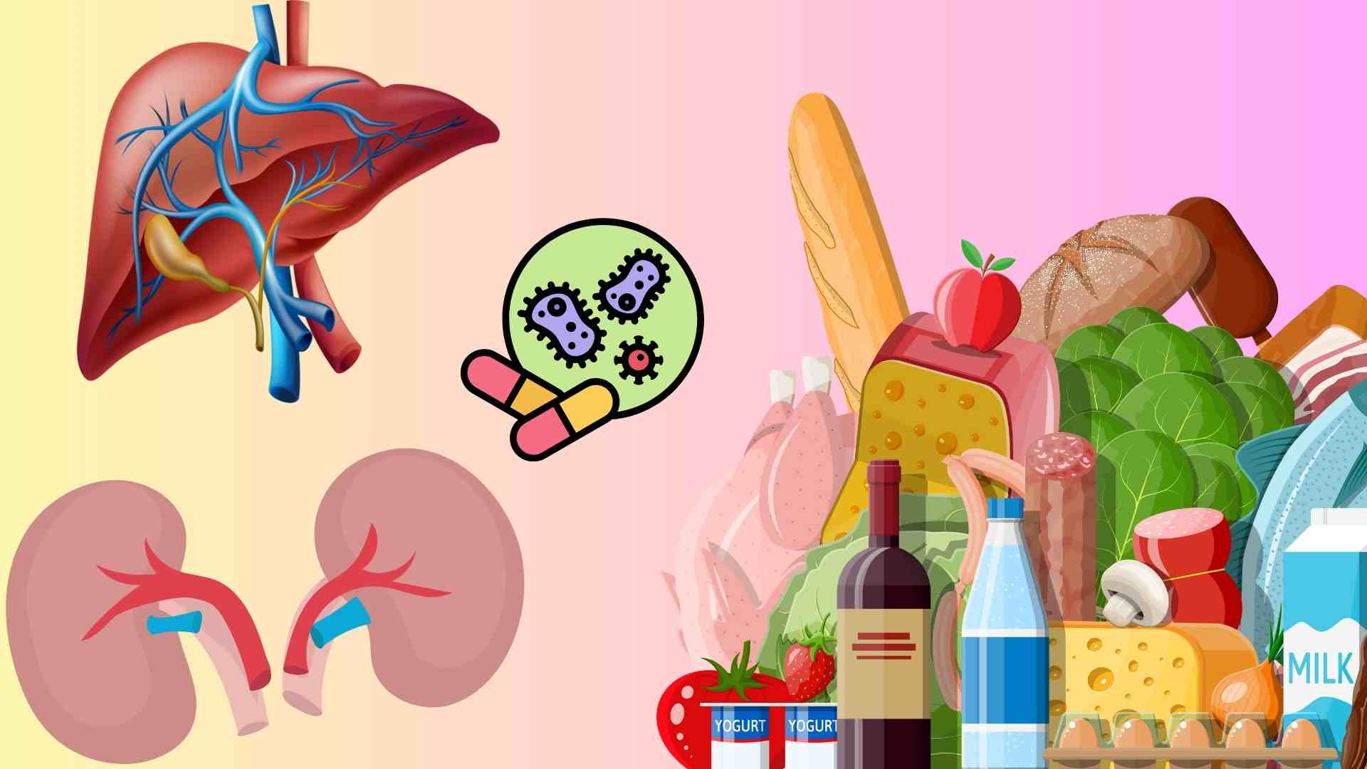 Diet to support the liver and kidneys after taking antibiotics. Graphics: Huyen Trang