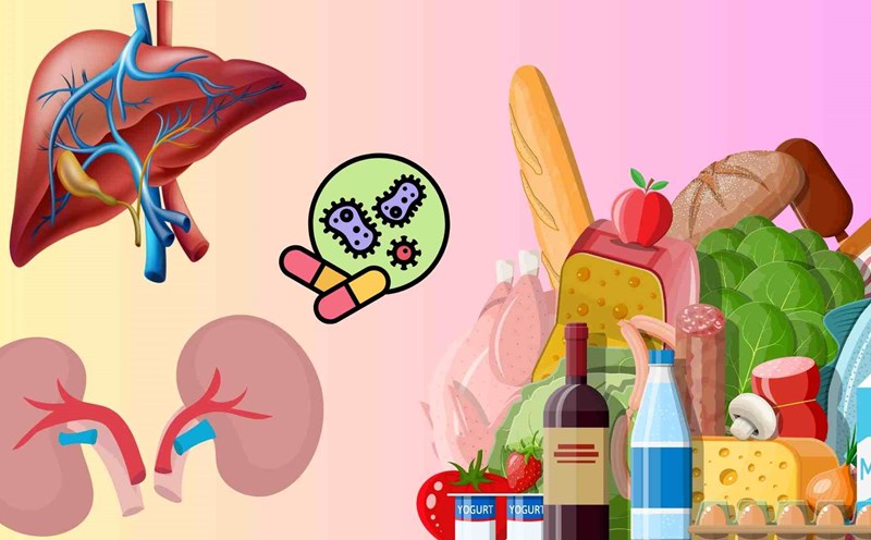 Diet to support the liver and kidneys after taking antibiotics. Graphics: Huyen Trang