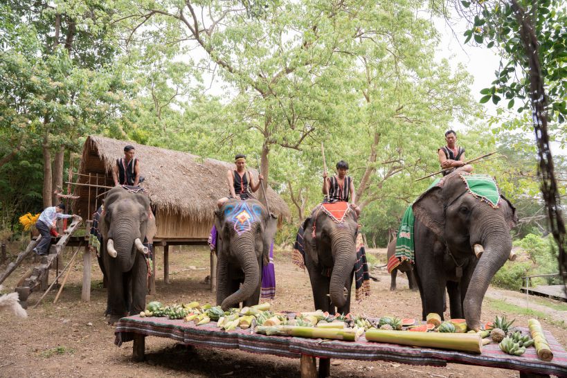 Elephants wear makeup and beautiful clothes to attend the Buffet party - an attractive activity at the Buon Don Cau Do Tourism Center. Elephant owners are always there to control the elephants and ensure the safety of tourists. Photo: Bun Hua