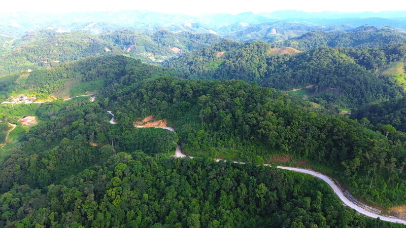 Lang Son reclaims more than 1,300 hectares of land from an ineffective forestry project. Photo: Khanh Linh