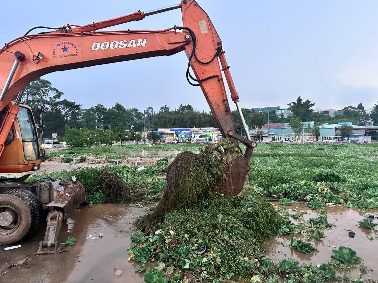 Garbage and duckweed in Xuan Huong Lake after heavy rain. Photo: Lam Hong