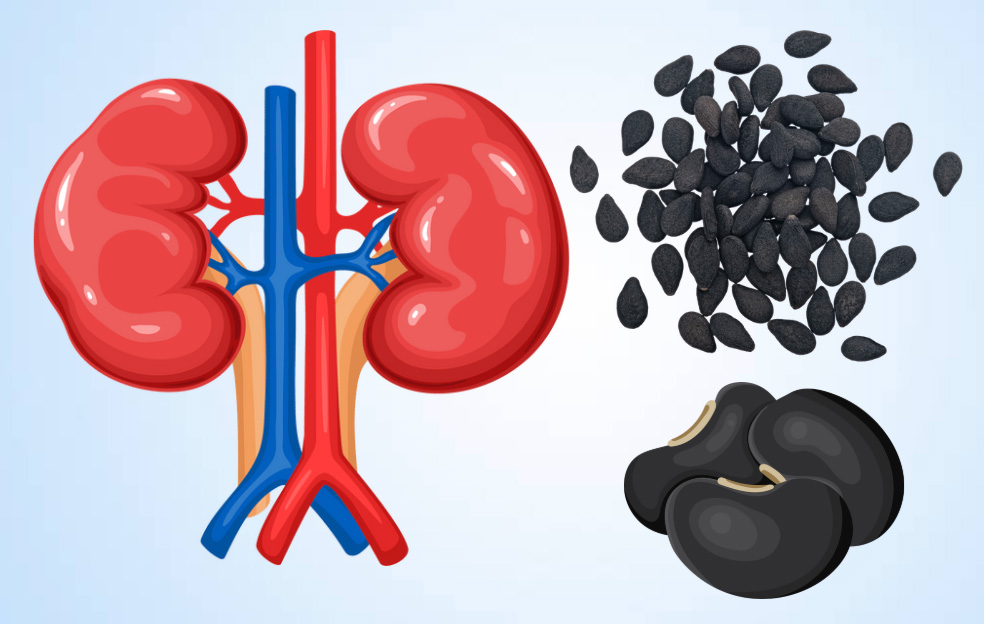 Black foods are good for the kidneys. Graphics: Thien Nhan
