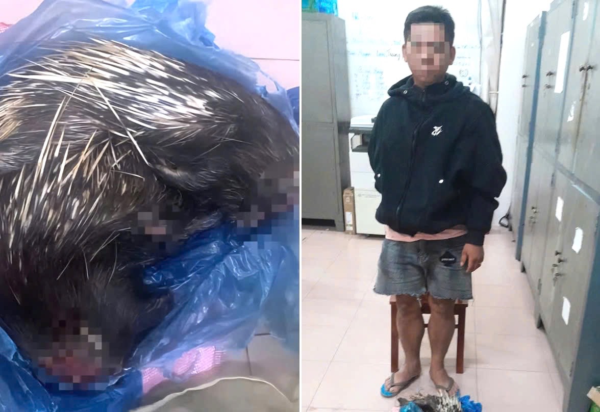 Phát hiện đối tượng T.H.L (27 tuổi, ngụ xã Phú Lý) có hành vi vận chuyển trái phép động vật hoang dã. Ảnh: Công an xã Trị An, tỉnh Đồng Nai