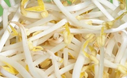 Eating bean sprouts regularly and properly will help stabilize blood pressure. Photo: Kieu Vu