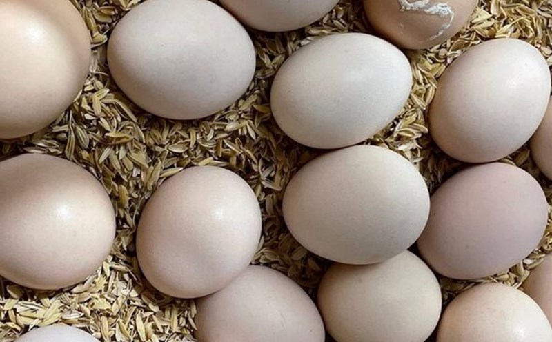 Eating eggs by preserving nutrients will help overcome hair loss. Photo: Kieu Vu