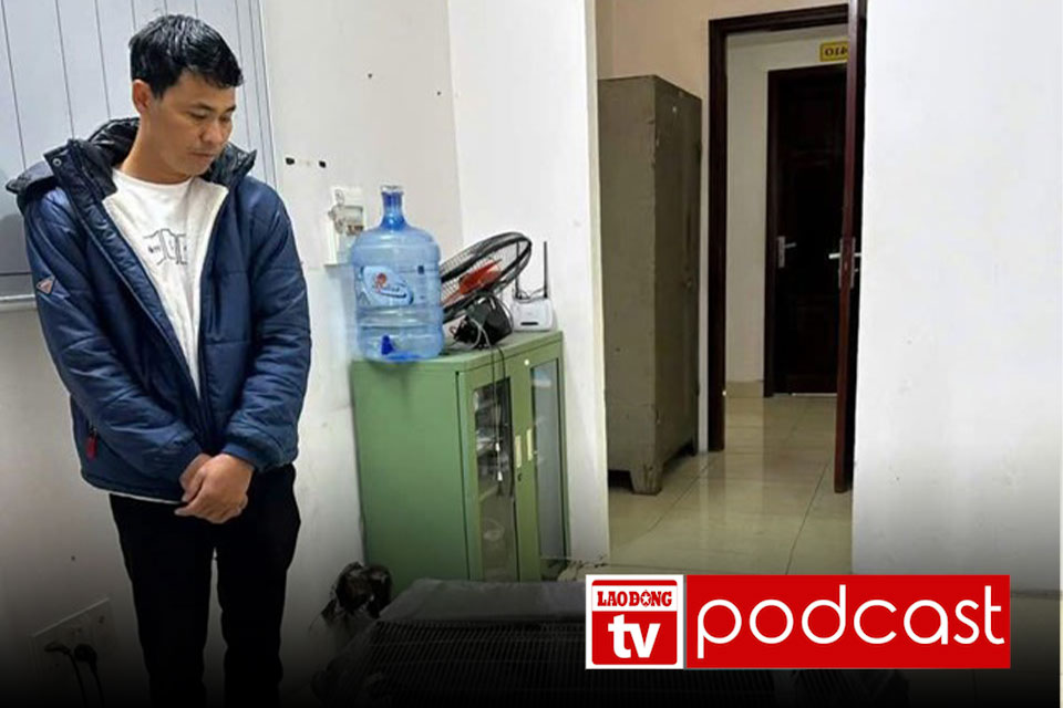 Noticias de la mañana: Caso de 13 polluelos salvajes: el abogado opina que el acusado sera exento de responsabilidad penal