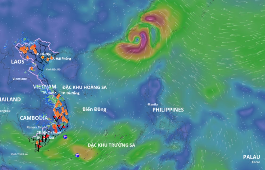 A low pressure area is forecast to appear in the East Sea. above is an image of the wind field at sea updated at 7:00 p.m. on August 13. Source: Vietnam Disaster Monitoring System