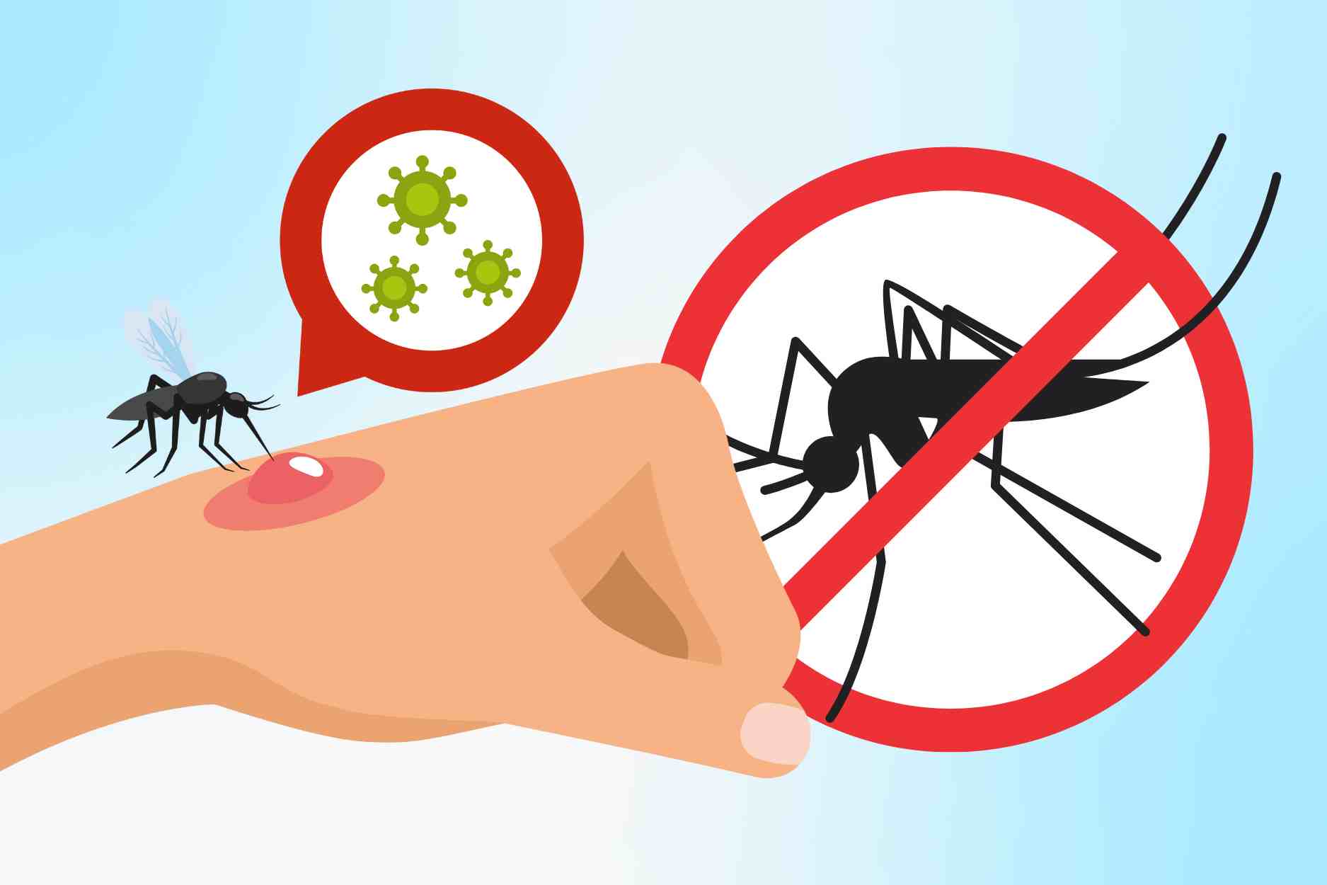 デング熱とチクンガニャを認識するのに役立つ5つの異なる点