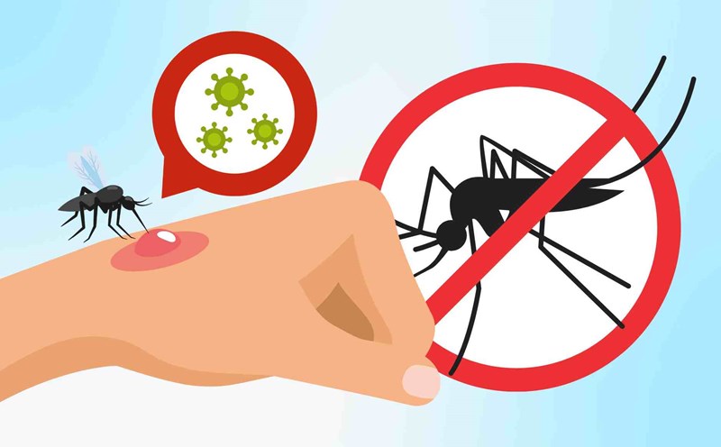5 different points to recognize dengue fever and Chikungunya