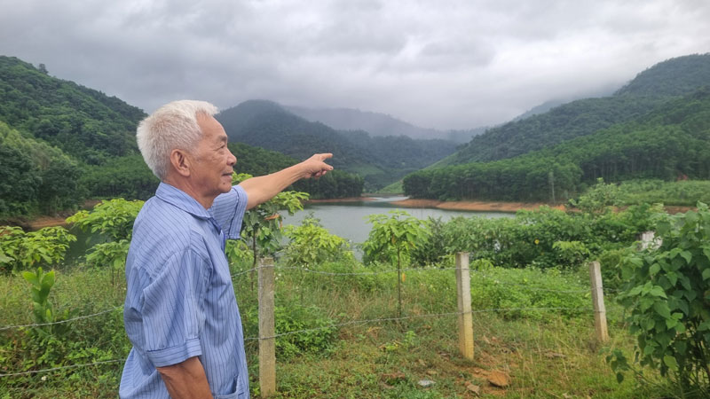 Ong Le Nguyen To chi ve canh rung gia, noi tung dat Nha in Bao Lao Dong. Anh: Phung Minh