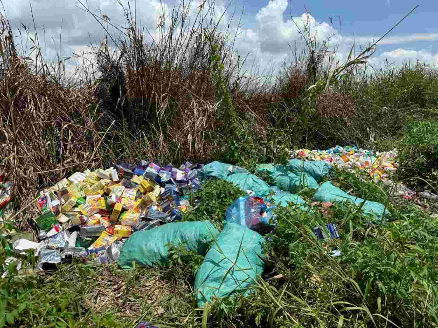 Image of functional foods thrown away on a deserted land. Photo: Minh Tam