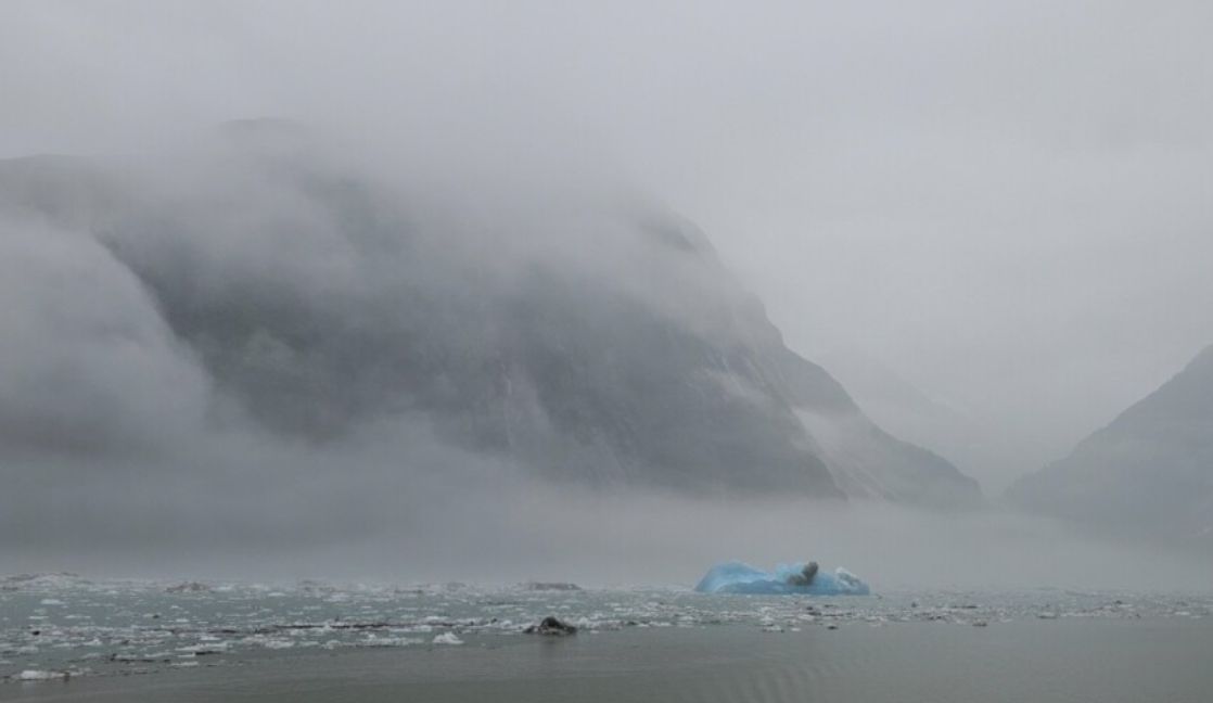 A 30-meter high wave of water waves after a landslide in Southeast Alaska on August 10, 2025. Photo: Alaska Earthquake Center