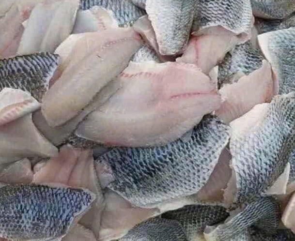 This is a fish that is recommended to be added to the diet to support muscle growth. Photo: Kieu Vu