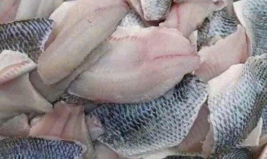 Đây là loại cá được khuyên nên bổ sung vào chế độ ăn để hỗ trợ tăng cơ bắp. Ảnh: Kiều Vũ