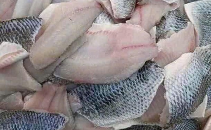 Este es un tipo de pescado que se recomienda añadir a la dieta para apoyar el aumento de masa muscular. Foto: Kieu Vu
