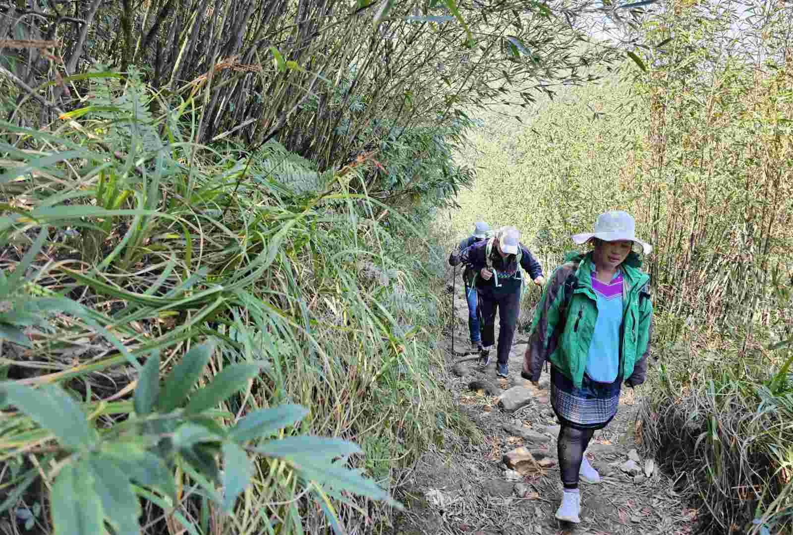 Los porteros cargan alimentos y articulos de los turistas y guian a la cima del Fansipan. Foto: Trong Loc