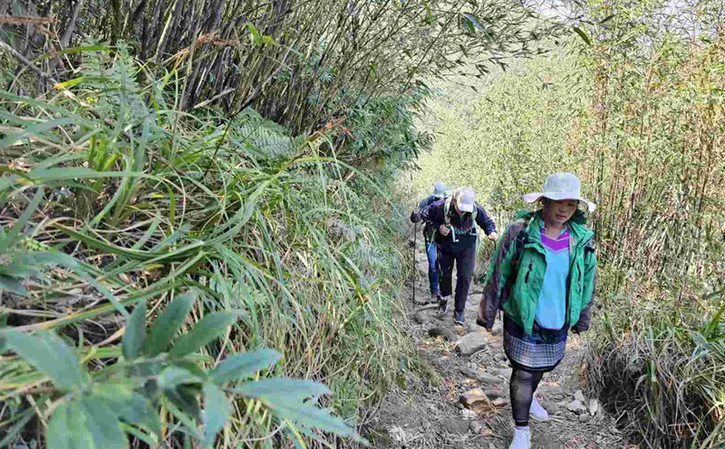 The portins carry food and items from tourists and guide them to Fansipan peak. Photo: Trong Loc