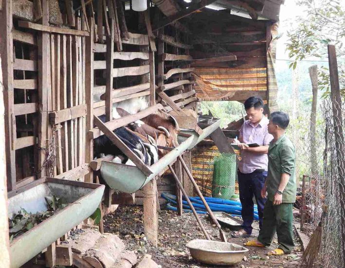 노동 신문 기자가 기지에 가서 Dlie Ya 면(Dak Lak 성)의 염소 사육 모델 덕분에 빈곤에서 벗어난 주민의 사례를 기록했습니다. 사진: Bao Trung