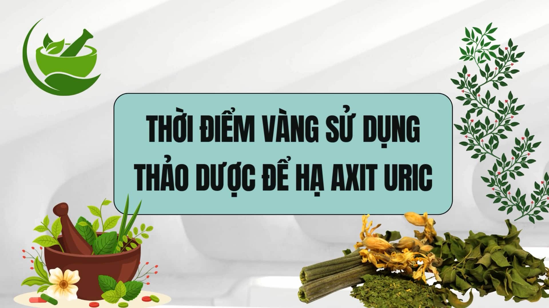 The golden time to use herbs to lower uric acid most effectively