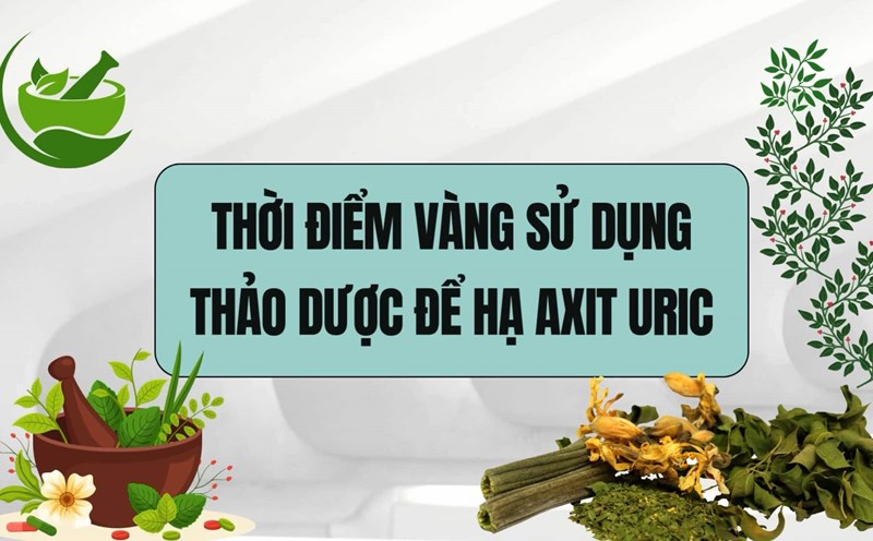 The golden time to use herbs to lower uric acid most effectively