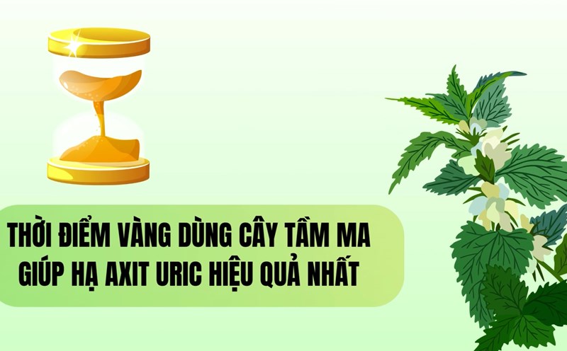 The golden time to use the most effective help lower uric acid