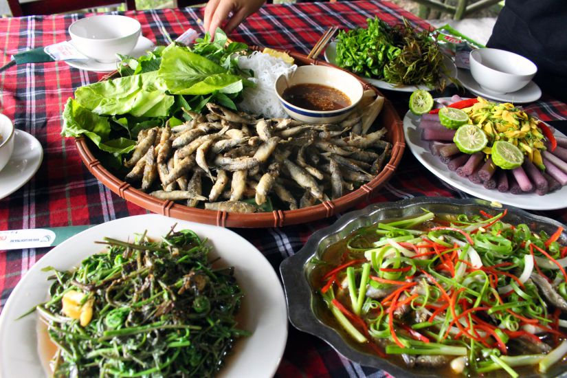 Cá linh - loài thủy sản độc đáo châu thổ Mekong