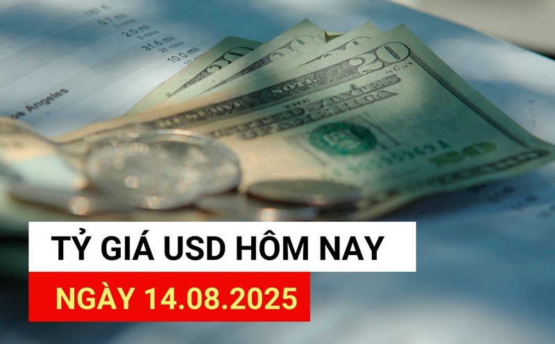 USD exchange rate today, August 14: Reasons for the USD plummeting