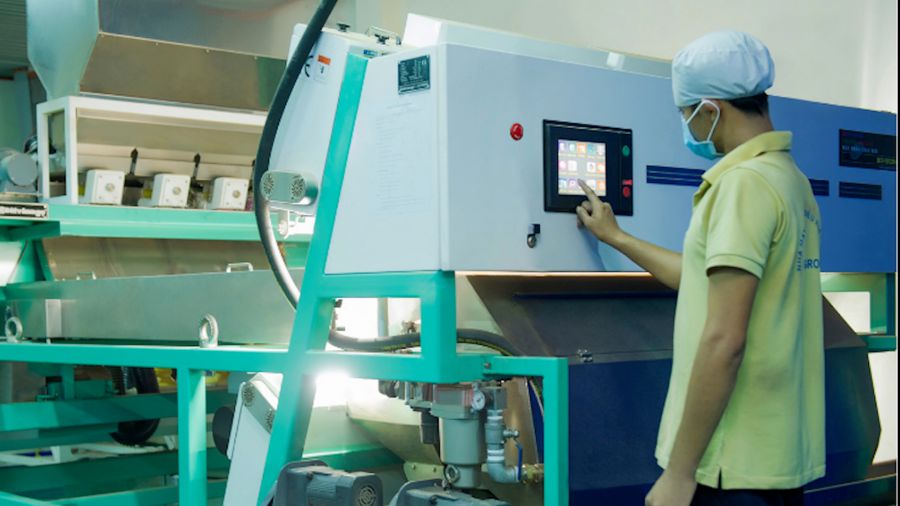 Intimex 주식회사의 고품질 캐슈넛 가공 공장의 노동자. 사진: 제공업체