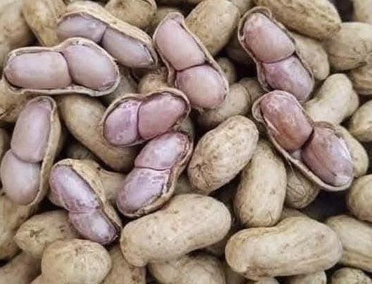 Peanuts are a food that can help reduce blood fat. Photo: Kieu Vu