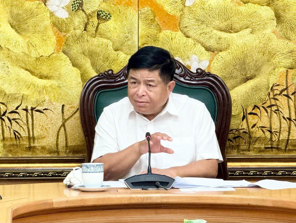 Deputy Prime Minister Nguyen Chi Dung suggested the purchase and sale of merged companies holding core technology. Photo: VGP