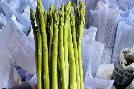 Asparagus is one of the non-starchy vegetables that can help reduce belly fat and liver fat. Photo: Kieu Vu