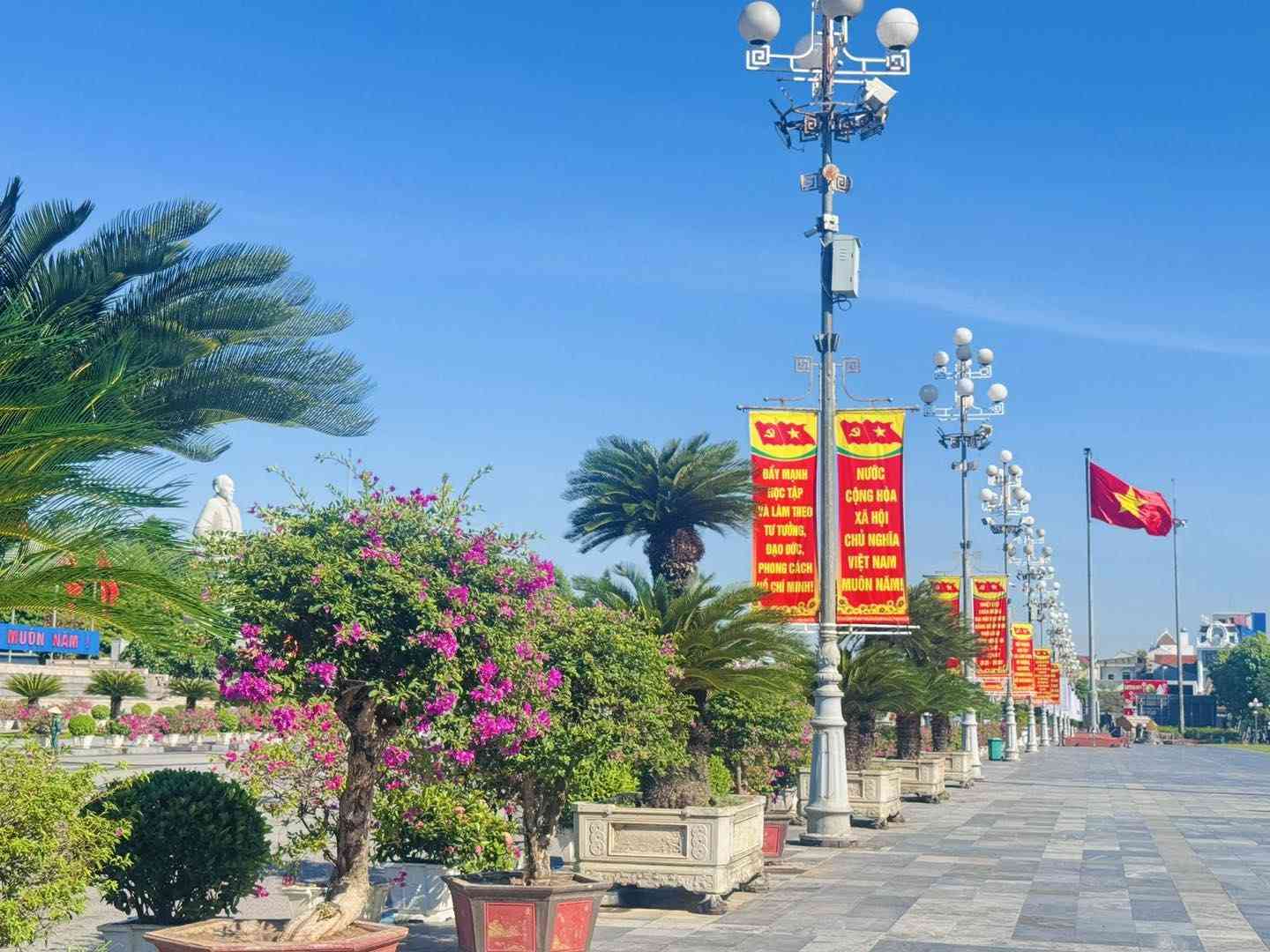 Co, hoa ruc ro tren cac khu vuc trung tam cua tinh Nghe An. Anh: Phuong Thuy