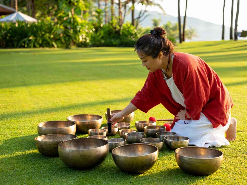 Theo ba Tran Thu Hien, dong sang lap Sound Healing World don vi to chuc Hoa nhac chua lanh lan dau tien tai Viet Nam chia se: “Day khong phai lan dau tien dan nhac, hoa thanh chuong xoay xuat hien tren san khau lon truoc hang ngan nguoi nghe. Nhung day la dip nhung nguoi yeu thich va thuc hanh tri lieu chuong xoay se co mot trai nghiem va chiem nghiem thu vi ve hanh trinh nang luong chua lanh cua chuong xoay”.