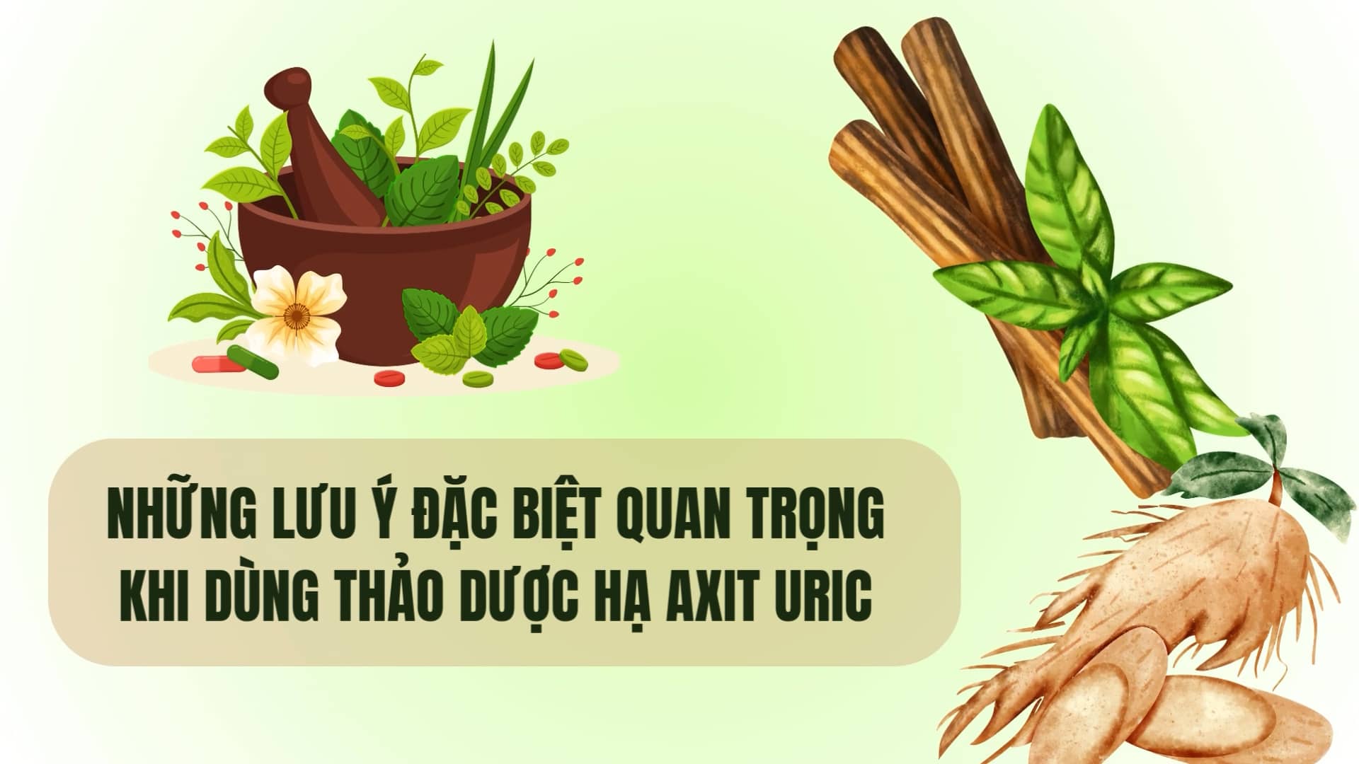 Special notes when using herbs to lower uric acid