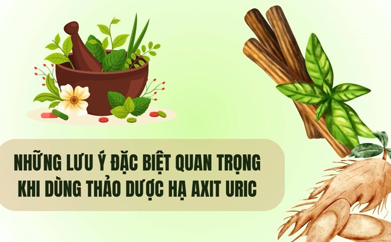 Special notes when using herbs to lower uric acid