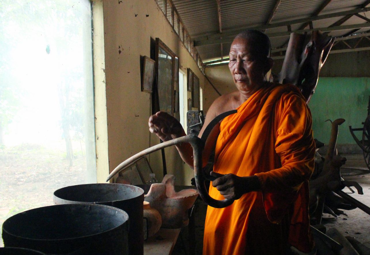 Venerable Chau Son Hy and the rice harvest, called Kon- Lieu in Khmer. Photo: Luc Tung
