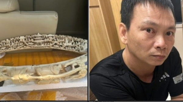 Tang vật và đối tượng mua bán ngà voi trái phép bị công an phường bắt giữ. Ảnh: Kiên Nguyễn