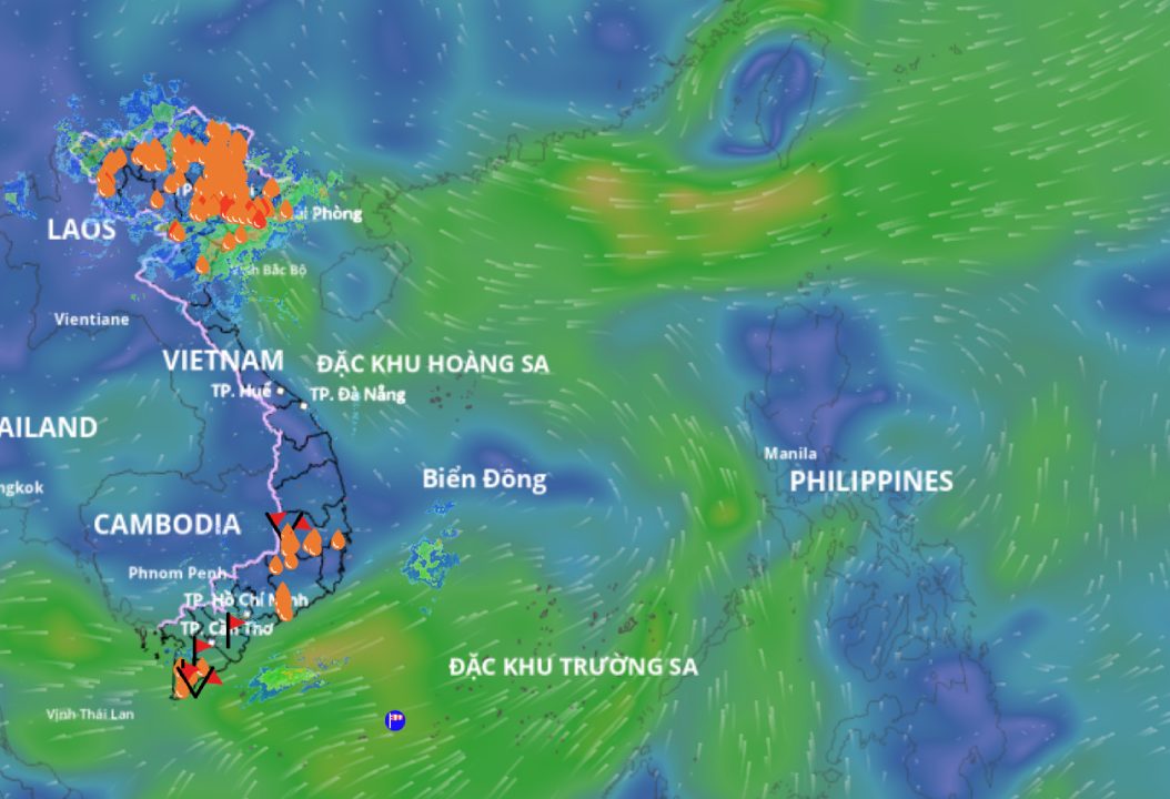 The low pressure area in the East Sea is forecast to strengthen. above is an image of the wind field at sea updated at 11:00 on August 15. Source: Vietnam Disaster Monitoring System