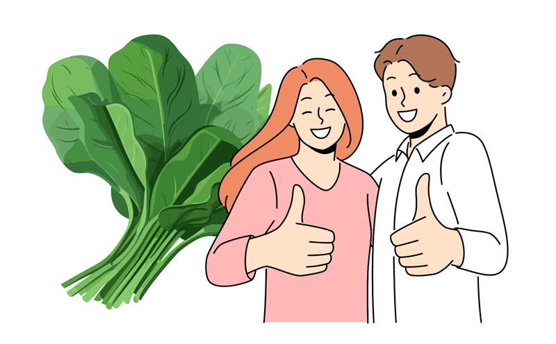 Adding spinach to your diet helps prolong life. Graphics: Thanh Thanh